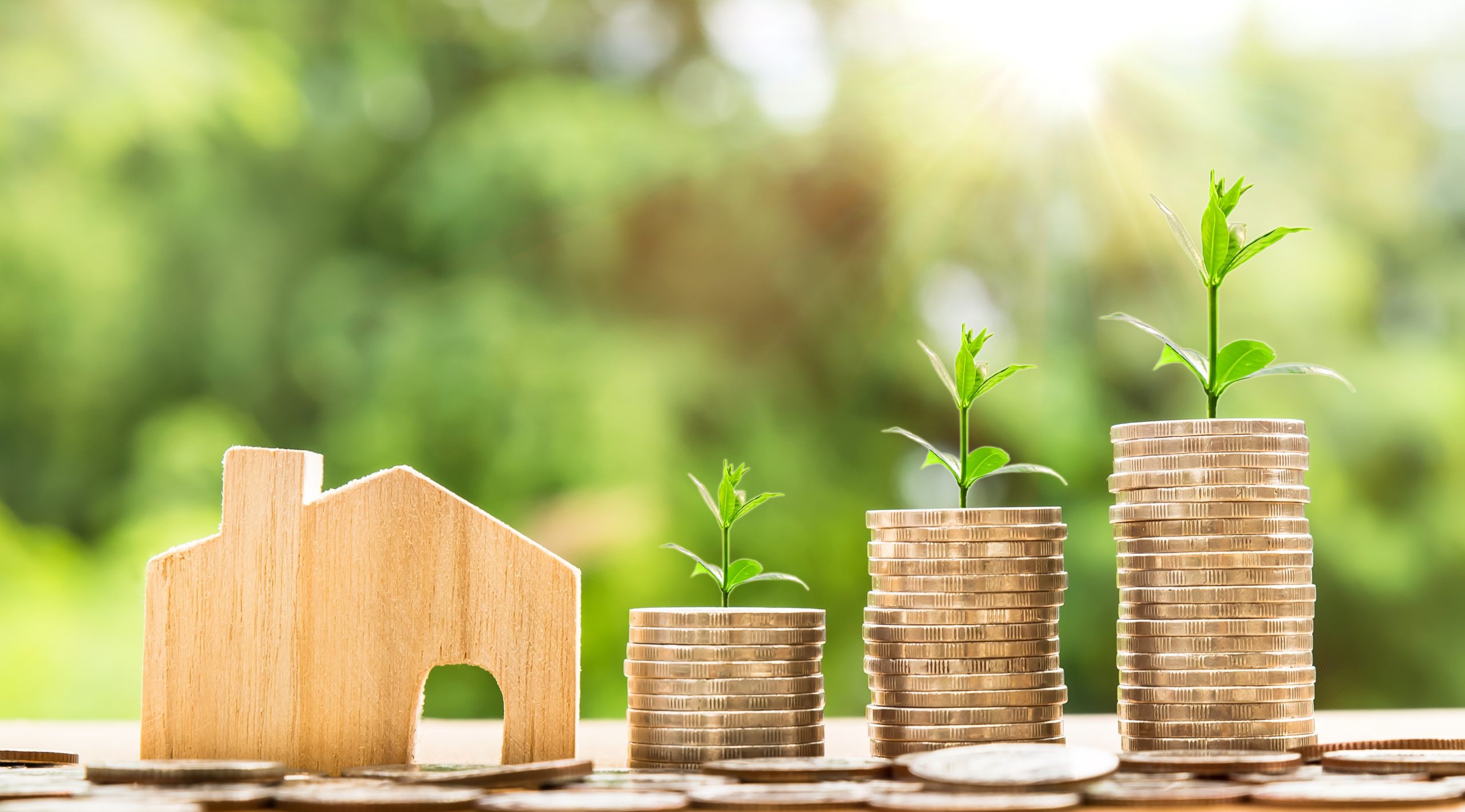 small wooden house with coins on one side
